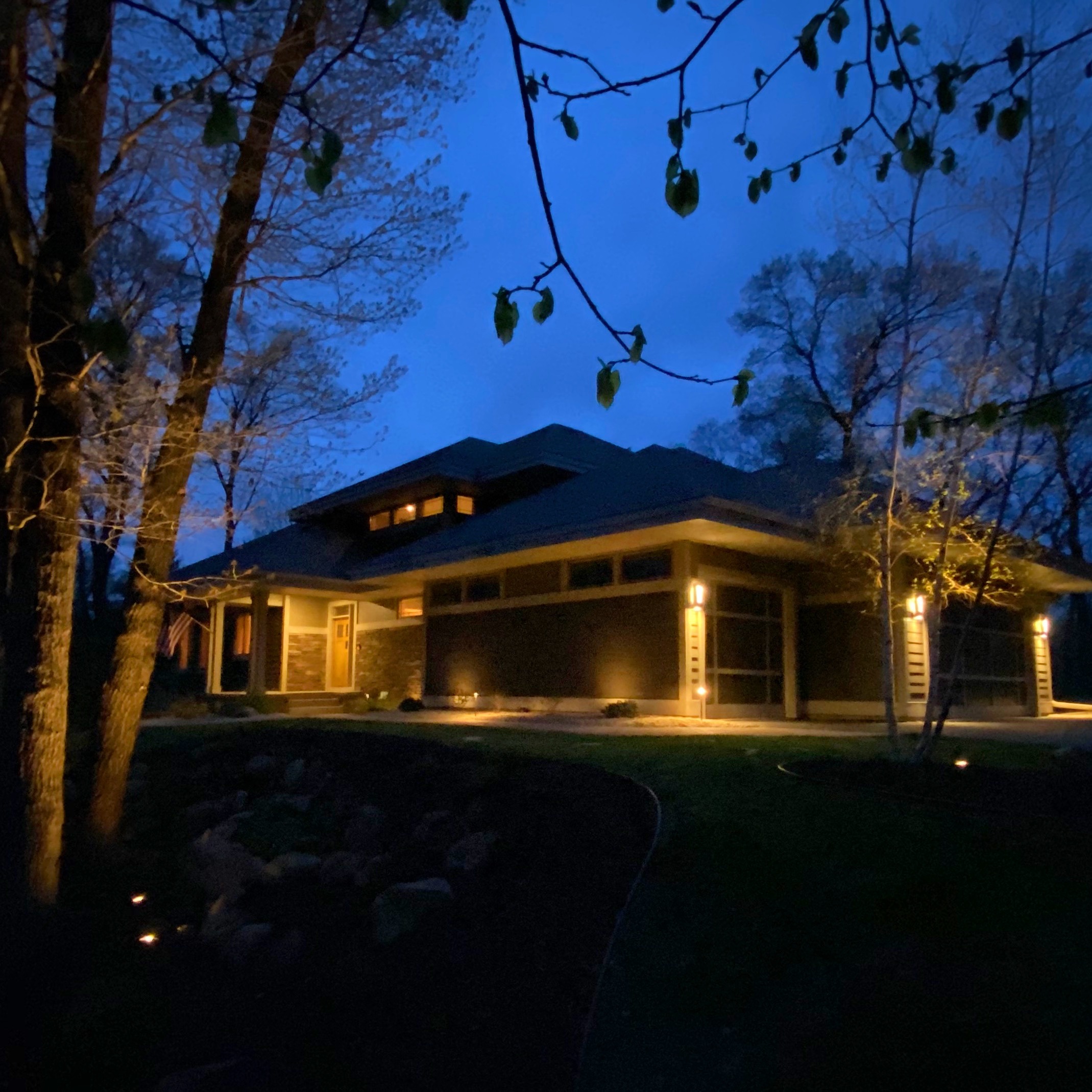 Transform Your Outdoor Space with Nighttime Landscaping A tree illuminated by a low-voltage spotlight, creating a striking focal point.