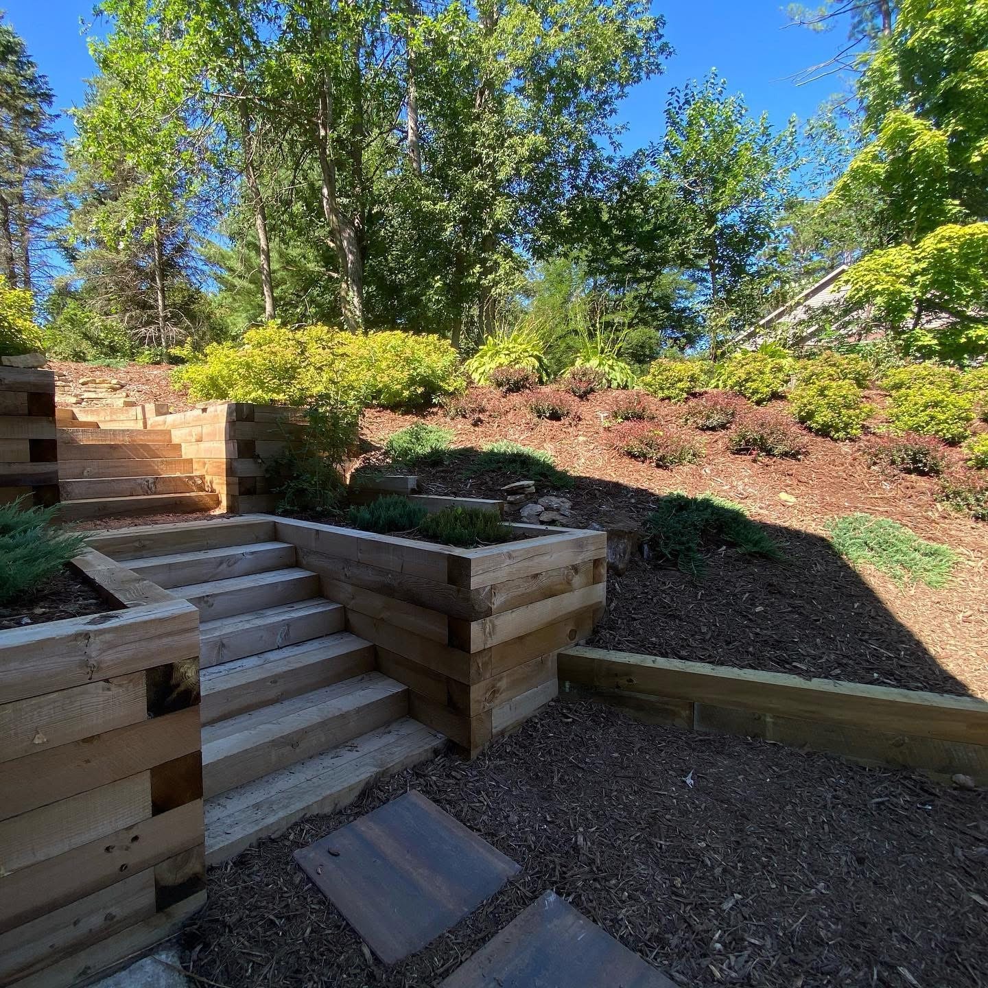 Timber Retaining Walls+Steps Retaining Walls and Tiered Planting