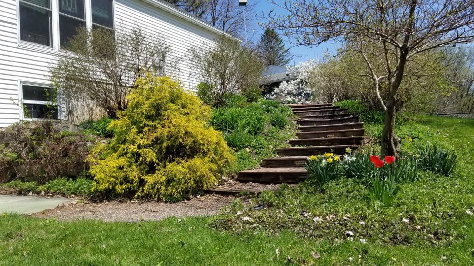 Redesign Your Landscape